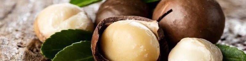 ماکادمیا در رژیم همپتون